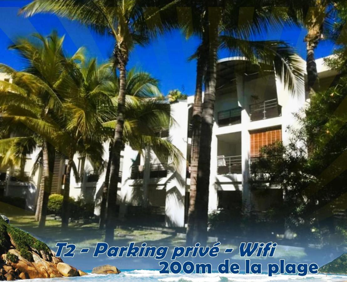 Palmae De Boucan Canot T2 St-Gilles A 200M De La Plage Saint-Gilles-les Bains Exterior foto